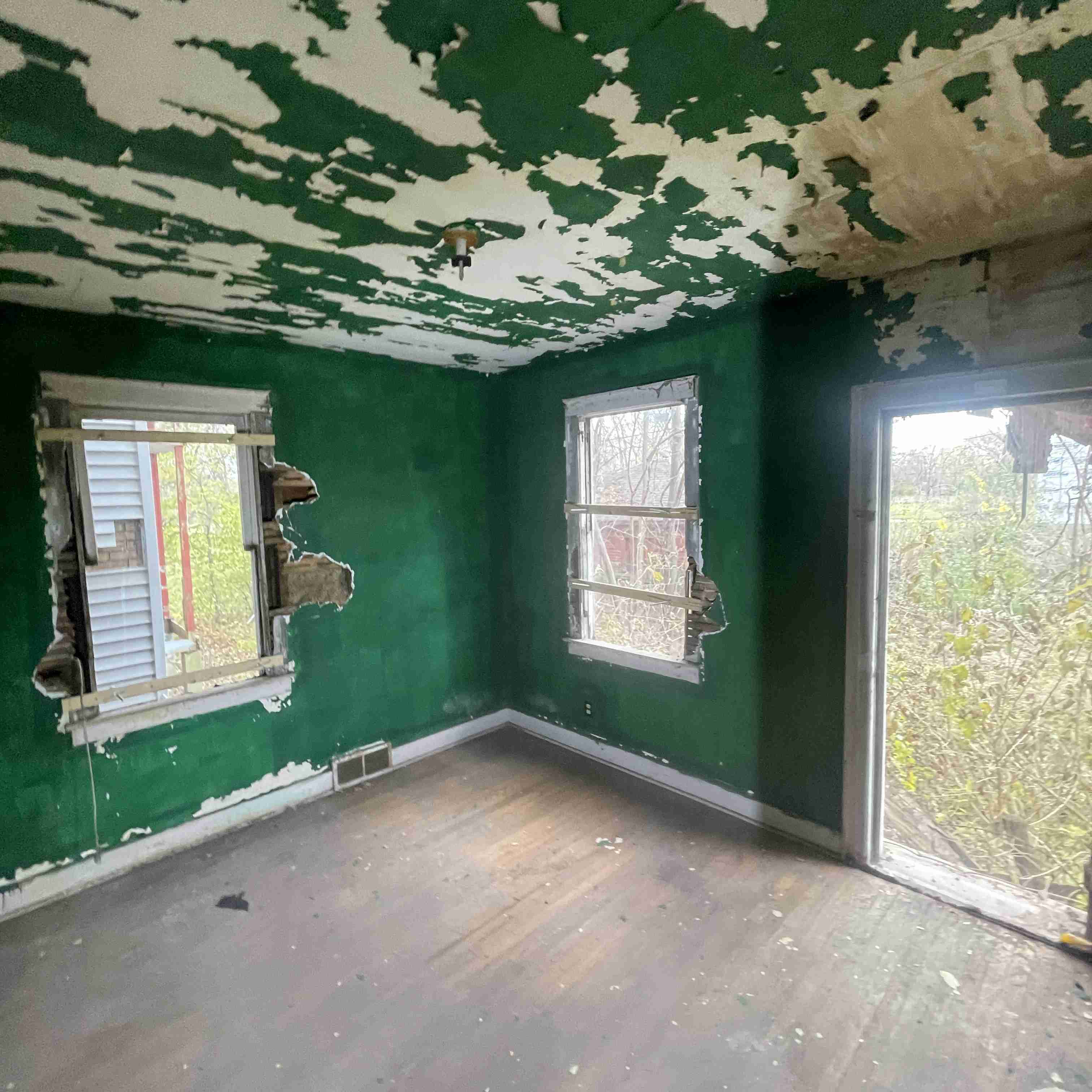 4039 Tuxedo (78).jpg